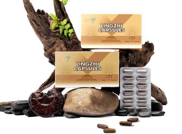 Linchzi Capsule/Ganoderma Lucidium (The legend that never Age)